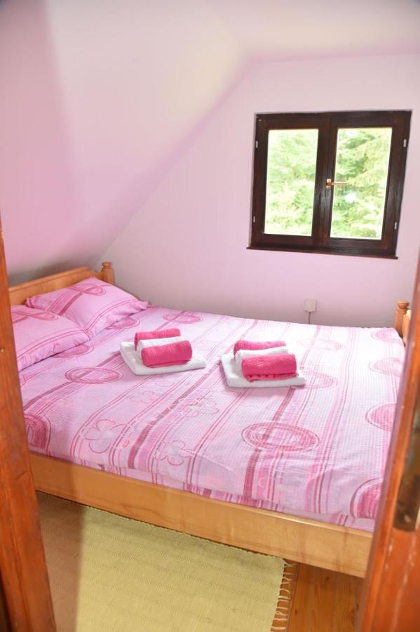 Vikendica Na Sokolini Villa Gornja Koprivna Bagian luar foto